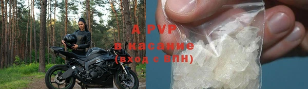 стаф Бородино