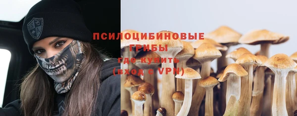 прущие крисы Бронницы