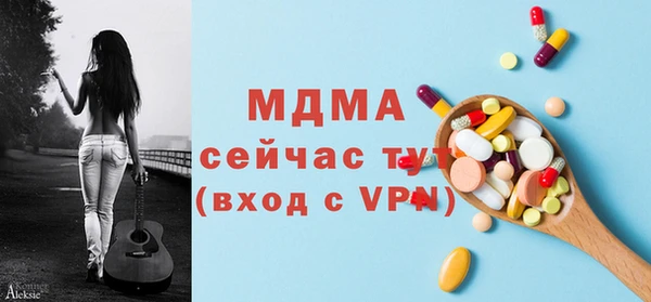 стаф Бородино