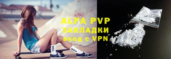 стаф Бородино