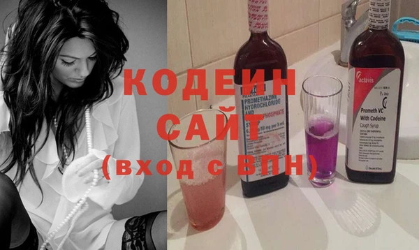 стаф Бородино