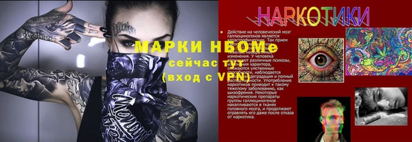стаф Бородино